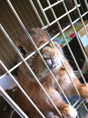 20120216s2.jpg